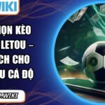 Cách chọn kèo bóng đá LETOU