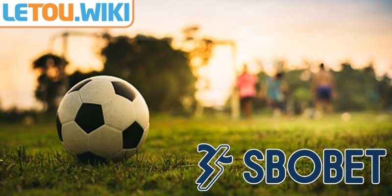 Sảnh SBO LETOU – Điểm Đến Lý Tưởng Cho Người Đam Mê Thể Thao 1 Tổng quan về sảnh SBO LETOU